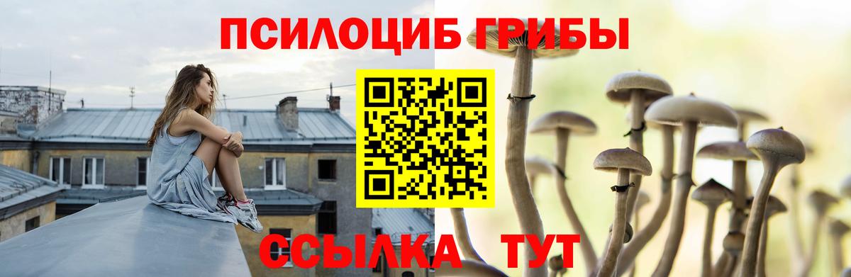 Галлюциногенные грибы прущие грибы  Галлюциногенные грибы ЛСД  купить наркоту  Нижневартовск  Вход с VPN 